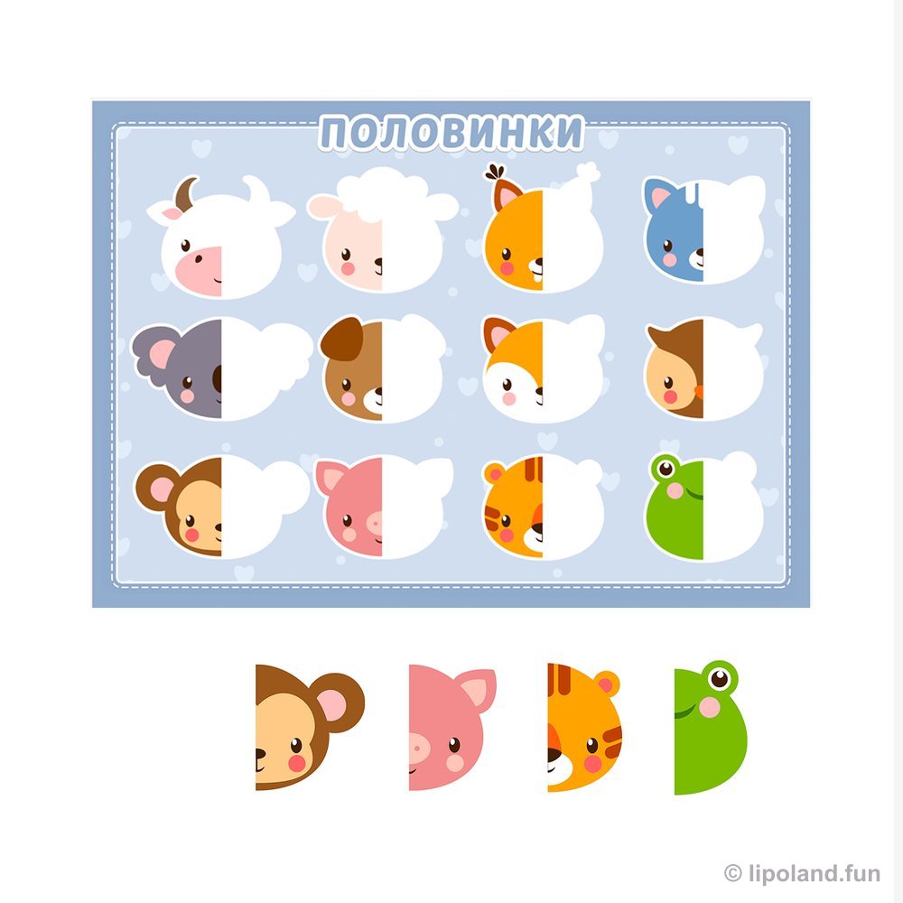 Половинки